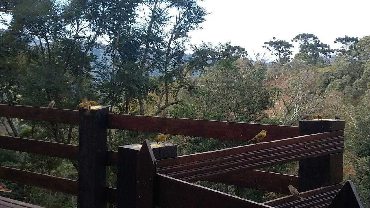 Chales De Analuz Visconde De Maua Exterior foto